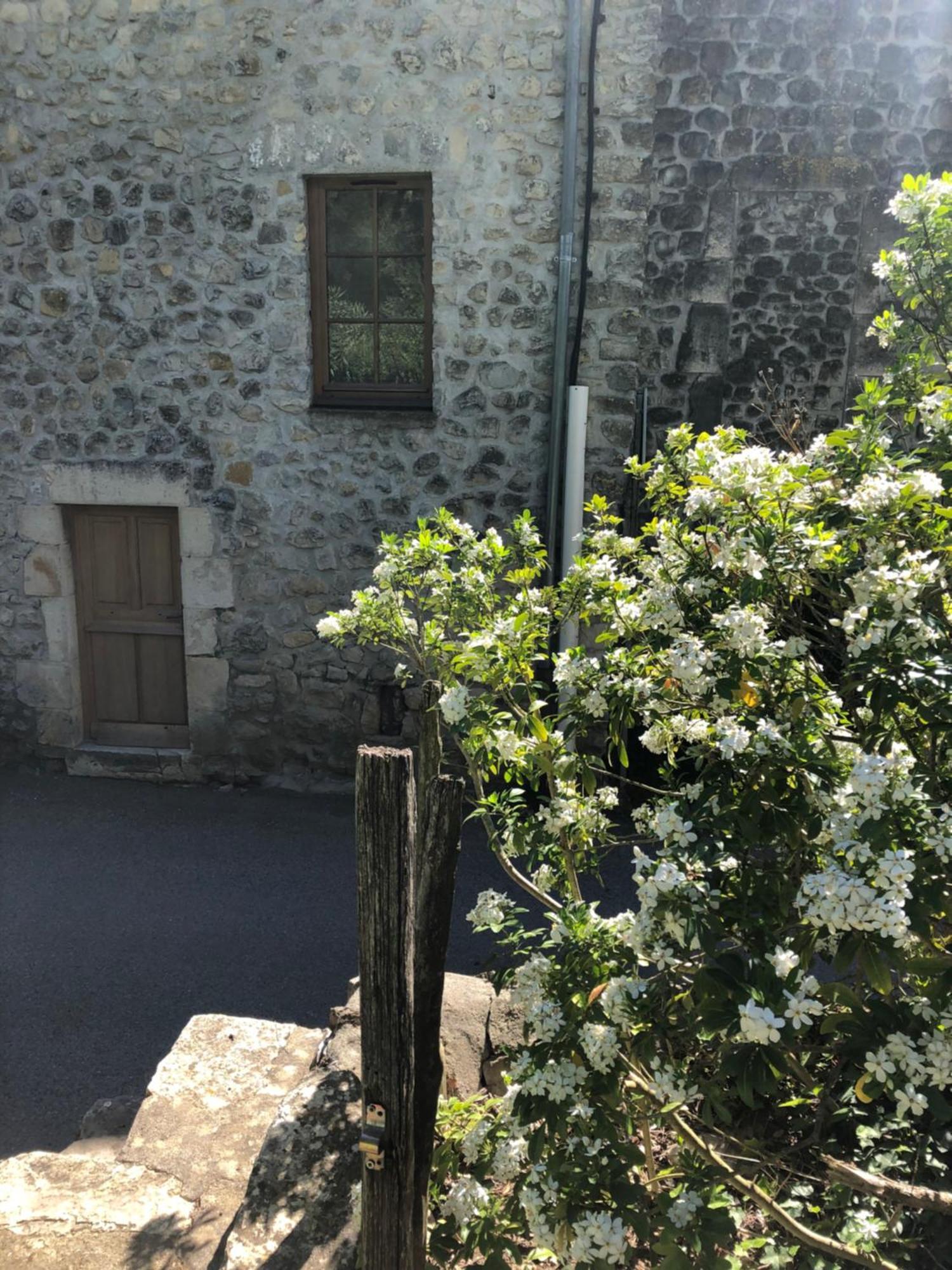 Gite Des Pins Saint-Maurice-dʼIbie Extérieur photo