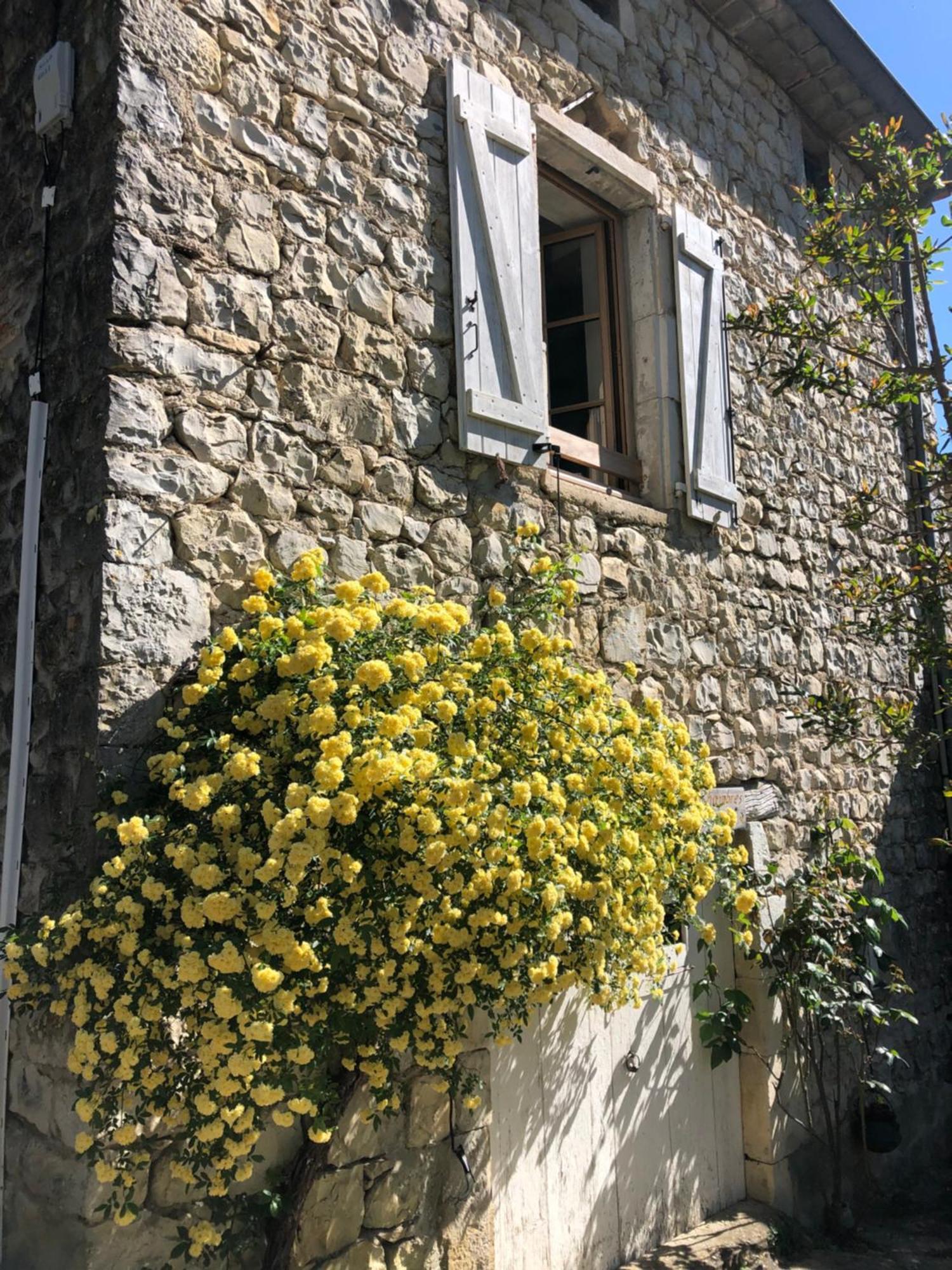 Gite Des Pins Saint-Maurice-dʼIbie Extérieur photo